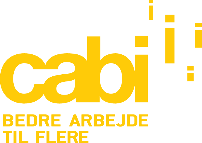 www.cabiweb.dk logo