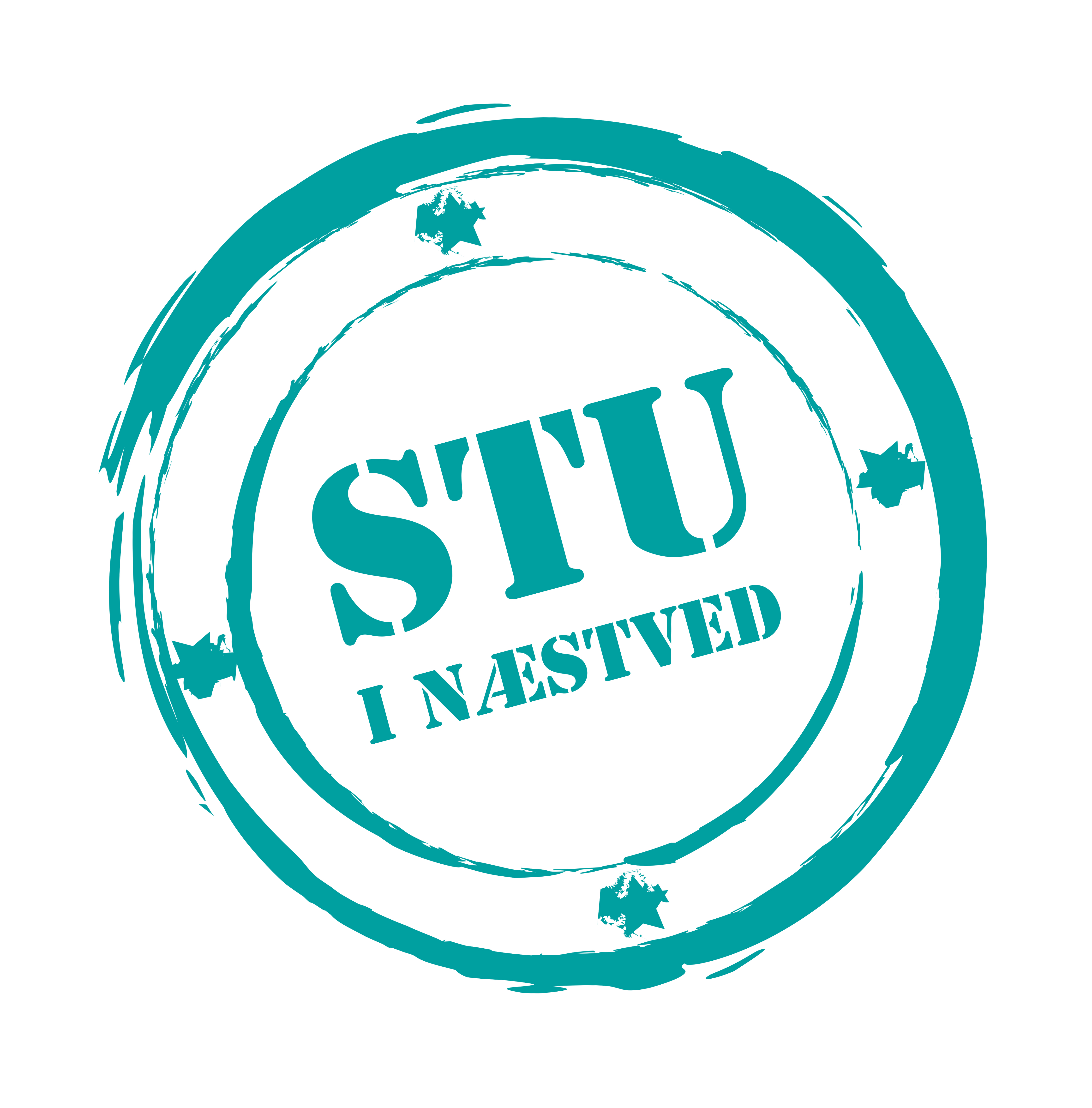 www.stuinaestved.dk logo