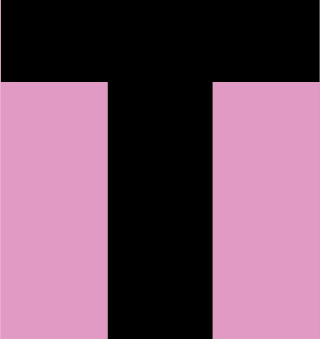 www.talentnettet.dk logo
