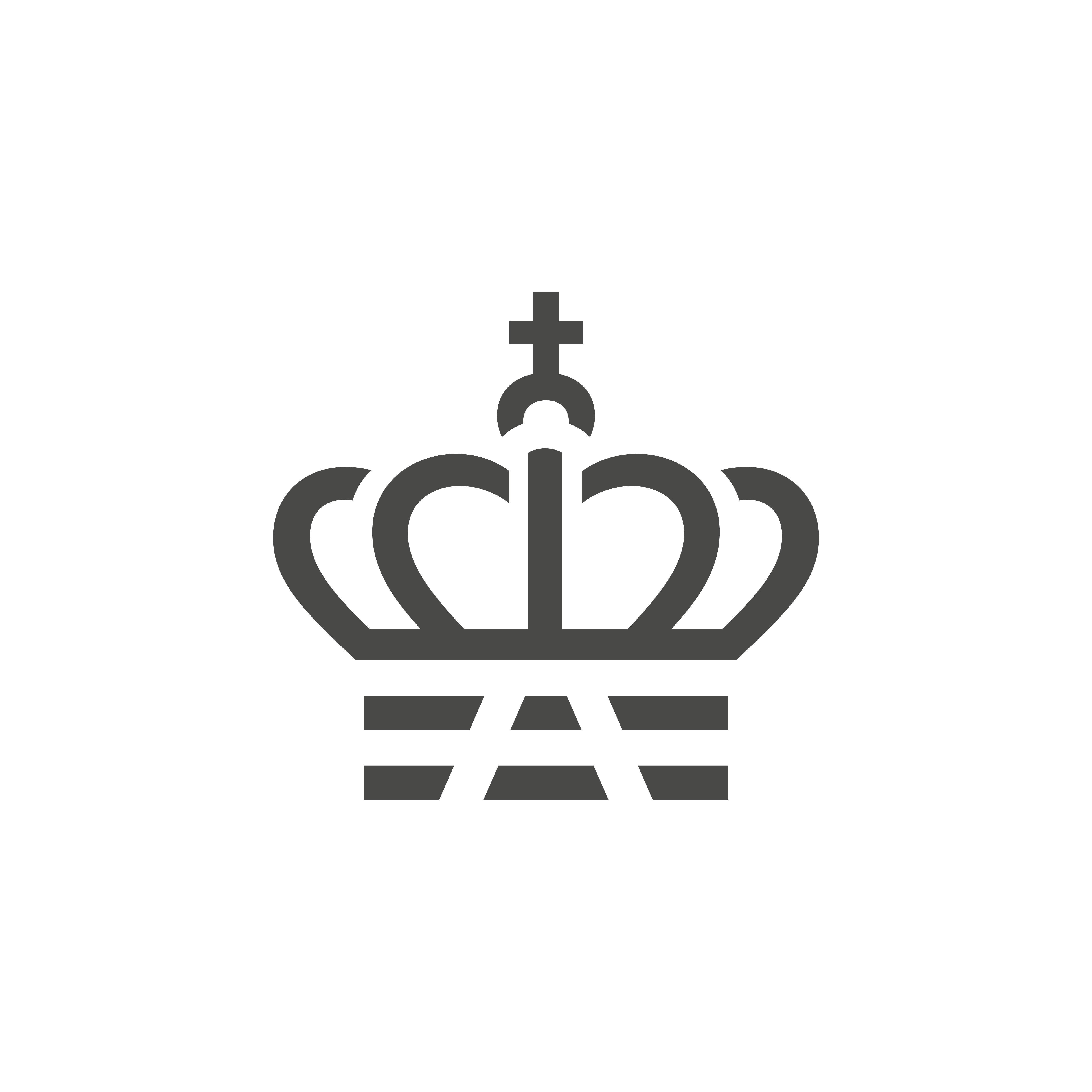 www.bane.dk logo