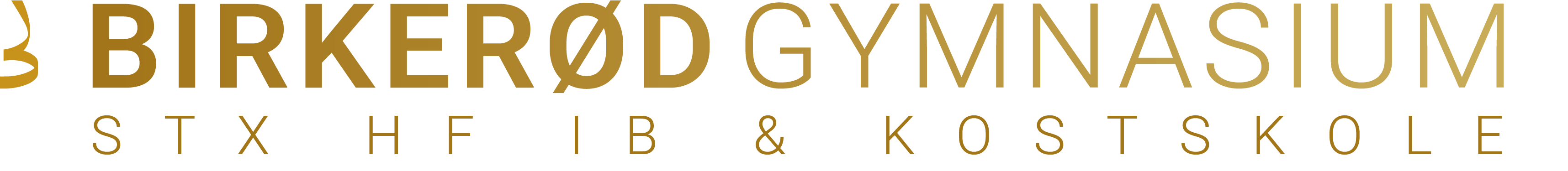 birke-gym.dk logo