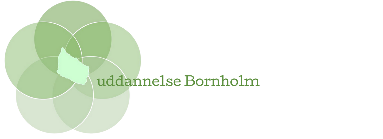 www.uddannelsebornholm.dk logo