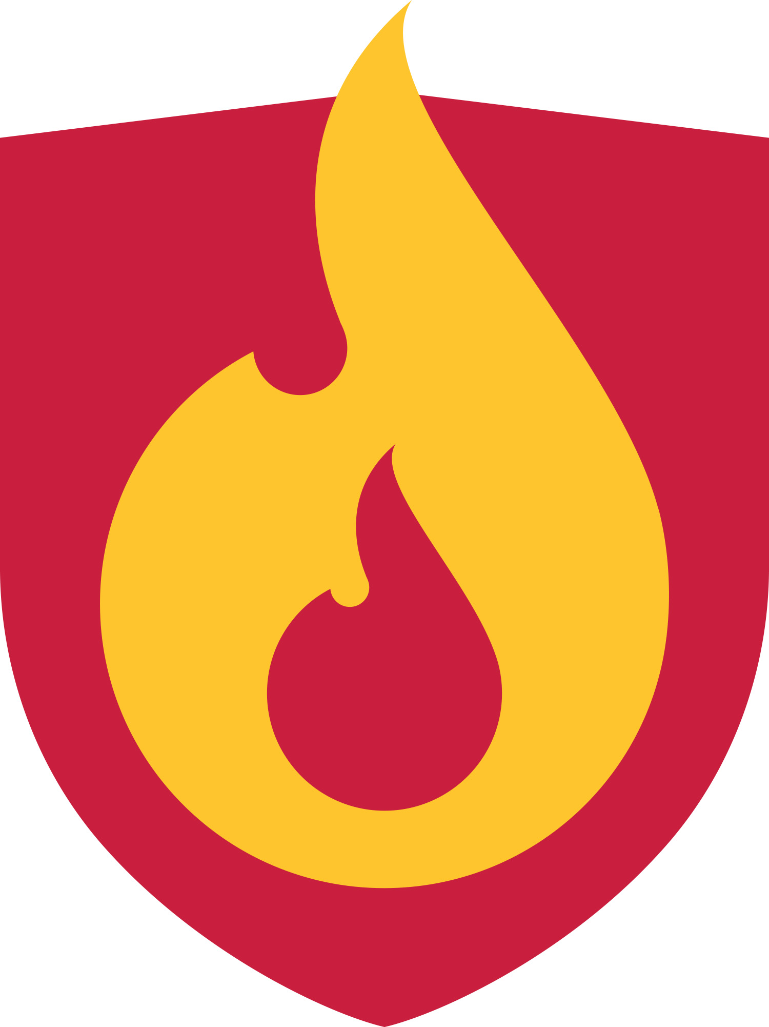 www.nsbv.dk logo