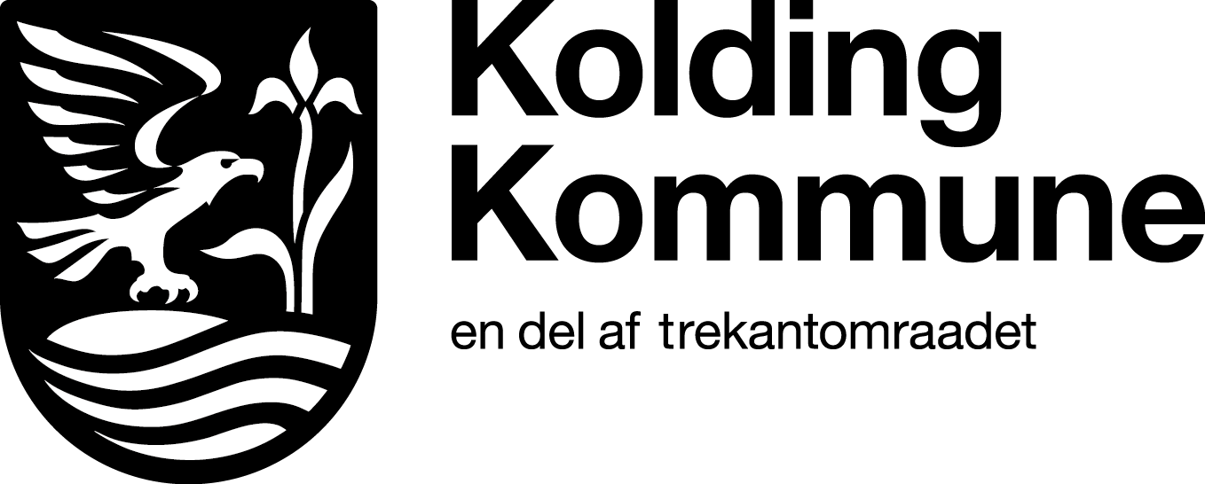 beholdervalg.brainybins.com logo